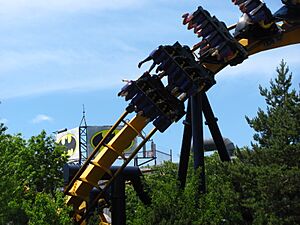 Batman The Ride at Six Flags Great America 3