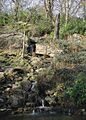 Baxter's Pond - geograph.org.uk - 376177