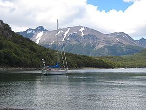 Beagle Channel seen from Tierra del Fuego National Park