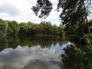 Bentley Priory Summerhouse Lake 2