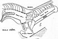 Britannica Dock 8