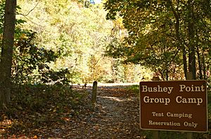 Bushey Point Group Camp Area, Oct 2012