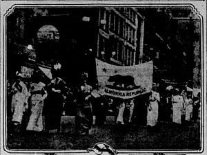 California's suffrage flag's, New York City