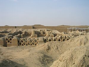 Chanchan fishnet ruins