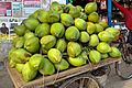 Coconuts for sale, Puthia (01)