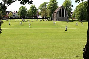 Cricket at Chichester