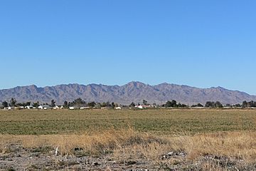 Dead Mountains from Mohave Valley 1.jpg