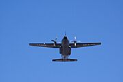 Dimitri Torterat - C-160 Transall passing by (French Bastille Day 2009)
