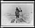 Eskimo hunter and polar bear slain with bow and arrow LCCN2005691848