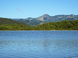 Estuario de la Bahía de Guayanilla