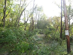 Fairfield Township Works I in woods