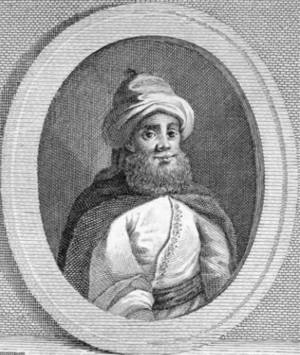 Fakhr al-Din Portrait Cropped