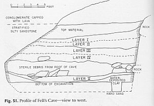 Fell's Cave Stratigraphy
