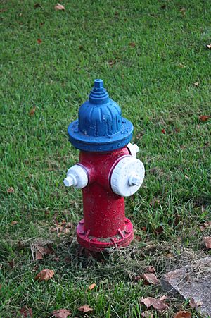 Fire-hydrant-demorest