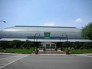 Garfield Park Conservatory Structure