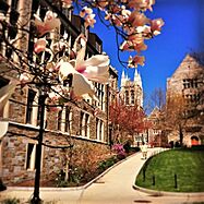 Gasson Hall in Summer