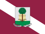 Gernika-Lumo flag