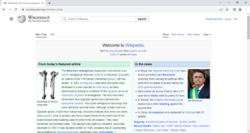 Google Chrome on Windows 10 screenshot.png