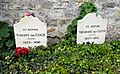 Two graves and two gravestones side by side; heading behind a bed of green leaves, bearing the remains of Vincent and Theo Van Gogh, where they lie in the cemetery of Auvers-sur-Oise. The stone to the left bears the inscription: Ici Repose Vincent van Gogh (1853–1890) and the stone to the right reads: Ici Repose Theodore van Gogh (1857–1891)