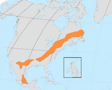 Grenville extent