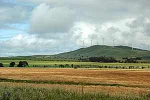 Hallett wind farm 2010