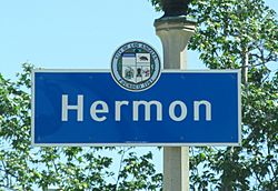 Hermon Neighborhood Signagelocated on Via Marisol at the 110 Freeway exit