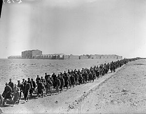 Italian prisoners captured at Sidi Barrani are marched into captivity