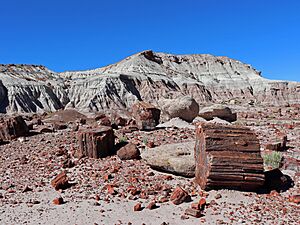 Conical rock formations showing horizontal banding in red, white, and shades of grey
