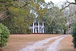 John Chapman Plantation