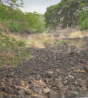 Keauhou Holua