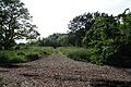Kissena Park td 37 - Stewart RR Trail