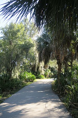 Lake Seminole Park Walkway