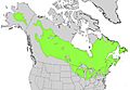 Larix laricina range map