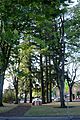 Laurelwood Park (Portland, Oregon)