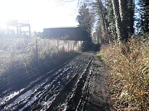 Liss Riverside Railway Walk (geograph 6329599)