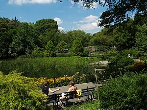 Lower Central Park Shot 3