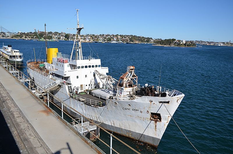 MV Cape Don