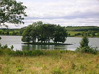 Martnaham Loch - small island