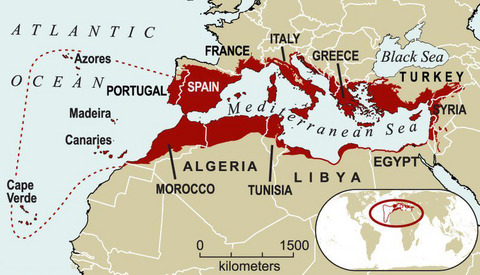 Mediterranean Basin Hotspot 2005 Print