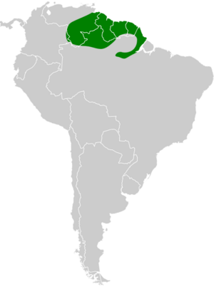 Myrmotherula surinamensis map.svg