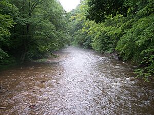 North Fork Cherry River West Virginia