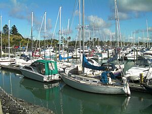 Pine Harbour Marina Beachlands New Zealand