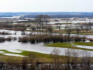 Poland Narew Góra Strękowa