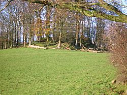 Polnoon Castle mound - from road.JPG