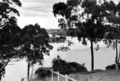 Queensland State Archives 191 Brisbane River at Yeronga c 1934
