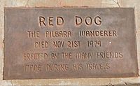 Red Dog The Pilbara Wanderer Notice