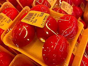 Redegg3
