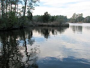 Reflection Goose Creek SP NC 8654