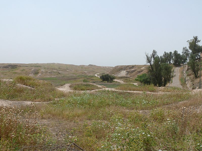 Royal City and Acropolis Tepes