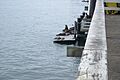 Sea Lions next to Santa Cruz Wharf